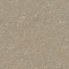 rockyGround_basecolor_png